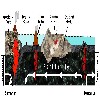 image of Figure 1